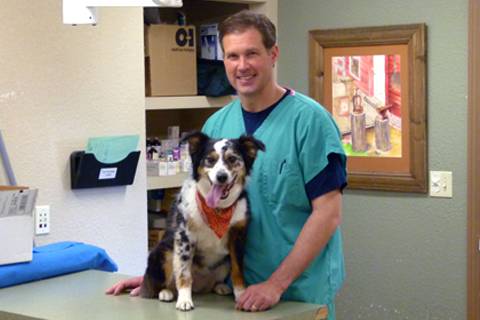 Belleview West Animal Hospital | 10825 W Belleview Ave, Littleton, CO 80127, USA | Phone: (303) 979-1090