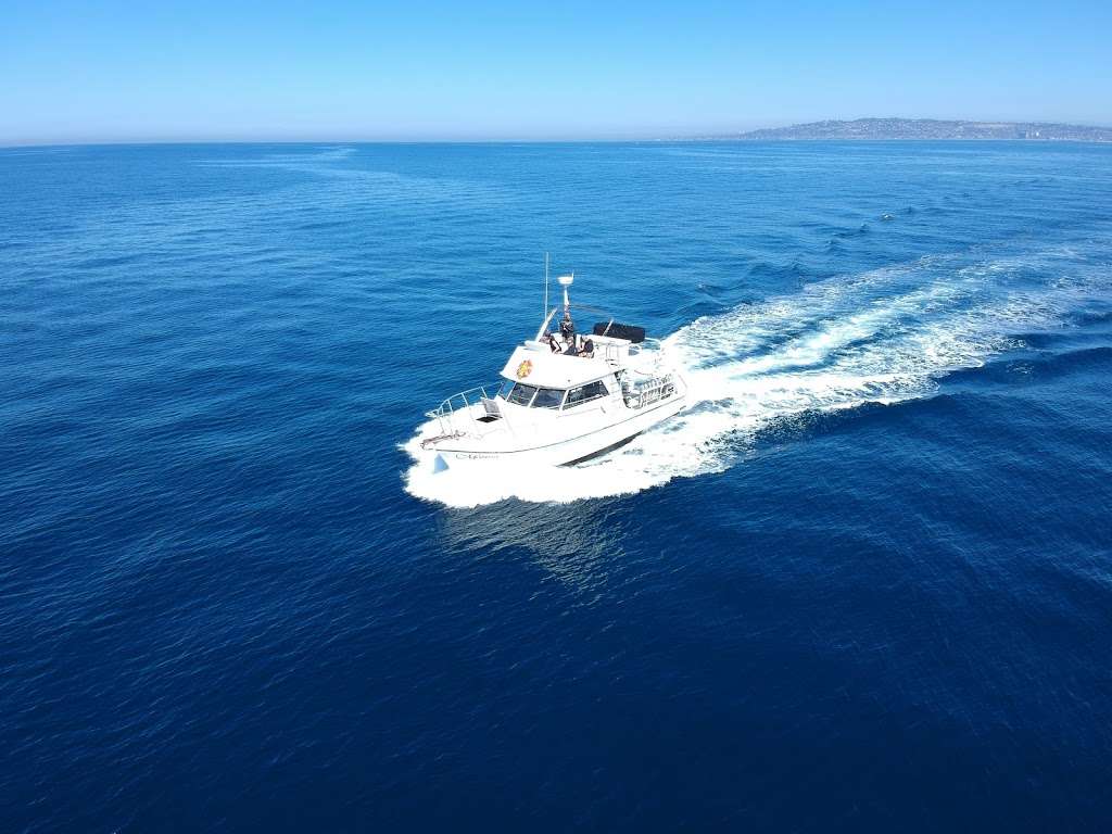 Marissa Charters - San Diego Scuba Diving Charter Boat | 1010 Santa Clara Pl, San Diego, CA 92109, USA | Phone: (619) 757-3280