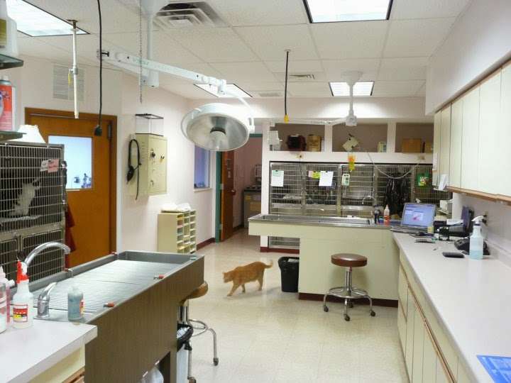 Four Seasons Animal Hospital | 10624 Randolph St, Crown Point, IN 46307, USA | Phone: (219) 663-8387