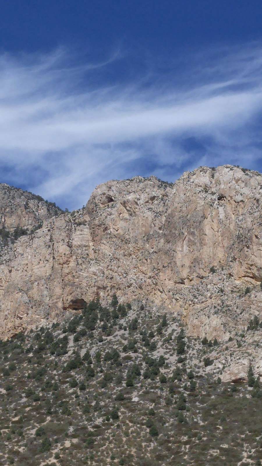 Spring Mountains Visitor Gateway | 2525 Kyle Canyon Rd, Mt Charleston, NV 89124 | Phone: (702) 872-5486