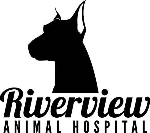 Riverview Animal Hospital | 102 Fairfield Ave, Bellevue, KY 41073, USA | Phone: (859) 912-7060
