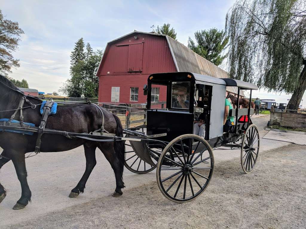 Abes Buggy Rides | 2596 Old Philadelphia Pike, Bird in Hand, PA 17505, USA | Phone: (717) 392-1794