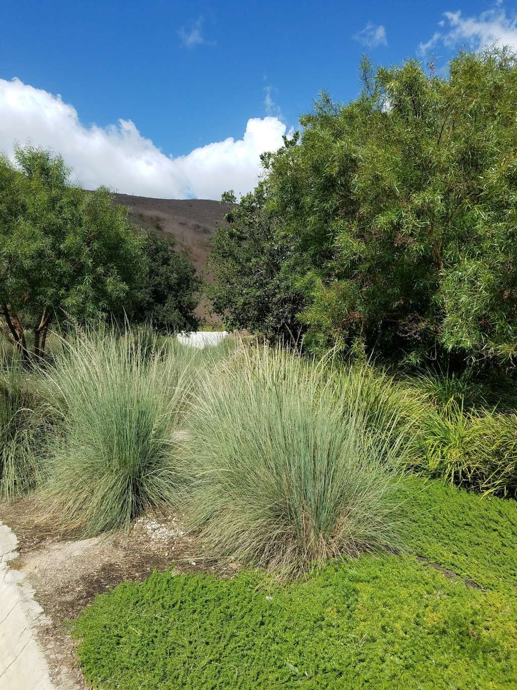Terramor Gardens | 15 Copious Lane, Ladera Ranch, CA 92694