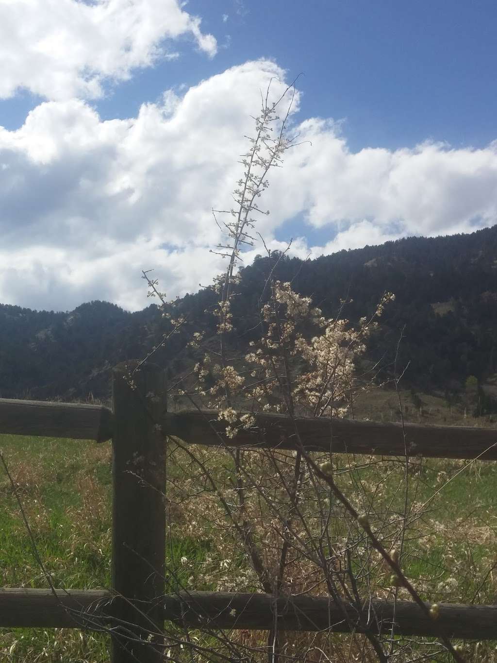 Chautauqua Trailhead | Bluebell Road, Boulder, CO 80302, USA