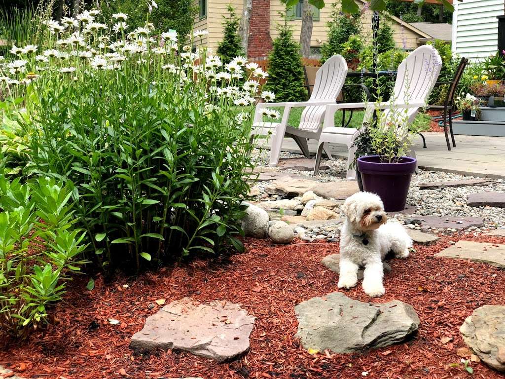 Landvista Aquascapes LLC in 212 White Horse Pike, Atco, NJ 08004, USA