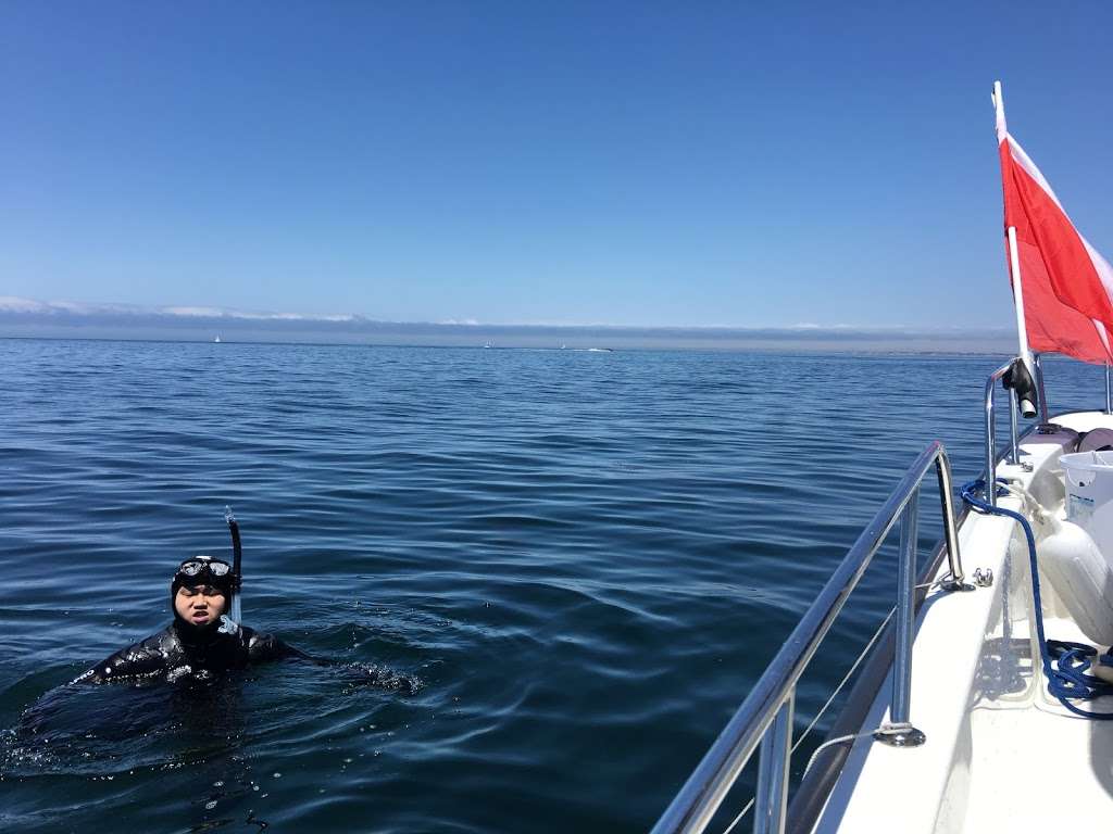 Dive Spot | 45277 Fremont Blvd #5, Fremont, CA 94538, USA | Phone: (408) 499-6543