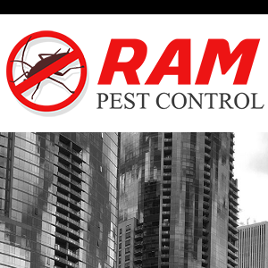RAM Pest Control | Chicago, IL, USA | Phone: (773) 920-8088
