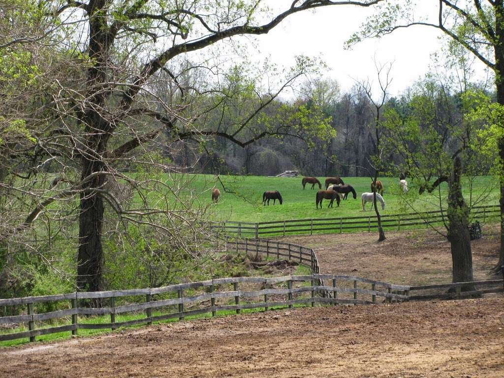 Graham Equestrian Center | 10301 Harford Rd, Glen Arm, MD 21057, USA | Phone: (410) 663-4445