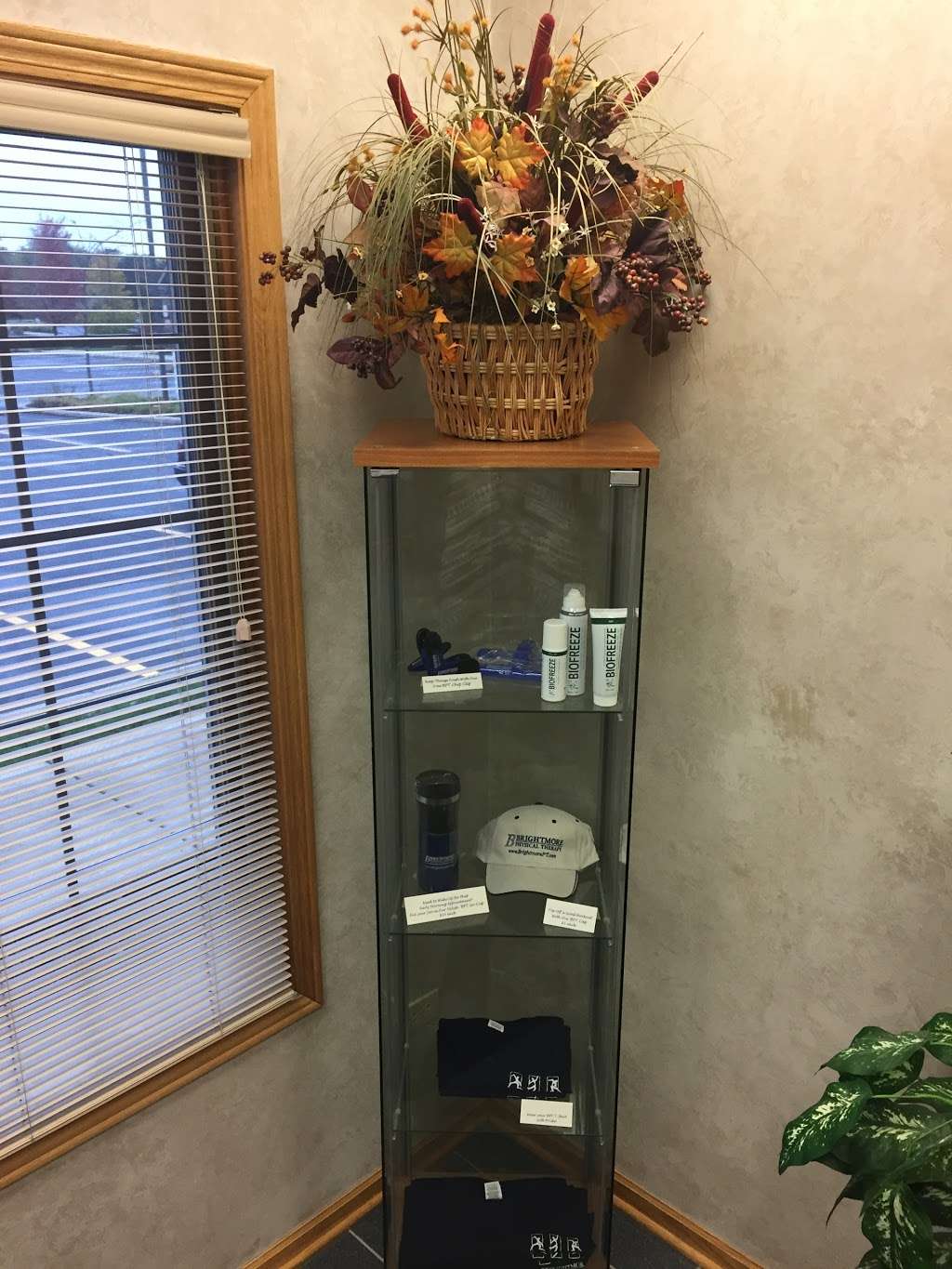 Brightmore Physical Therapy | 10309 W Lincoln Hwy, Frankfort, IL 60423 | Phone: (815) 469-9515