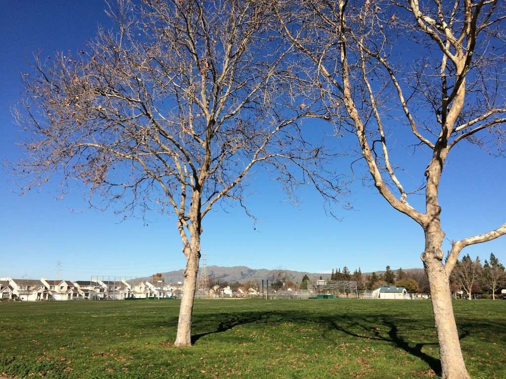 Flickinger Park | 1441 Tourney Dr, San Jose, CA 95131, USA | Phone: (408) 794-7275