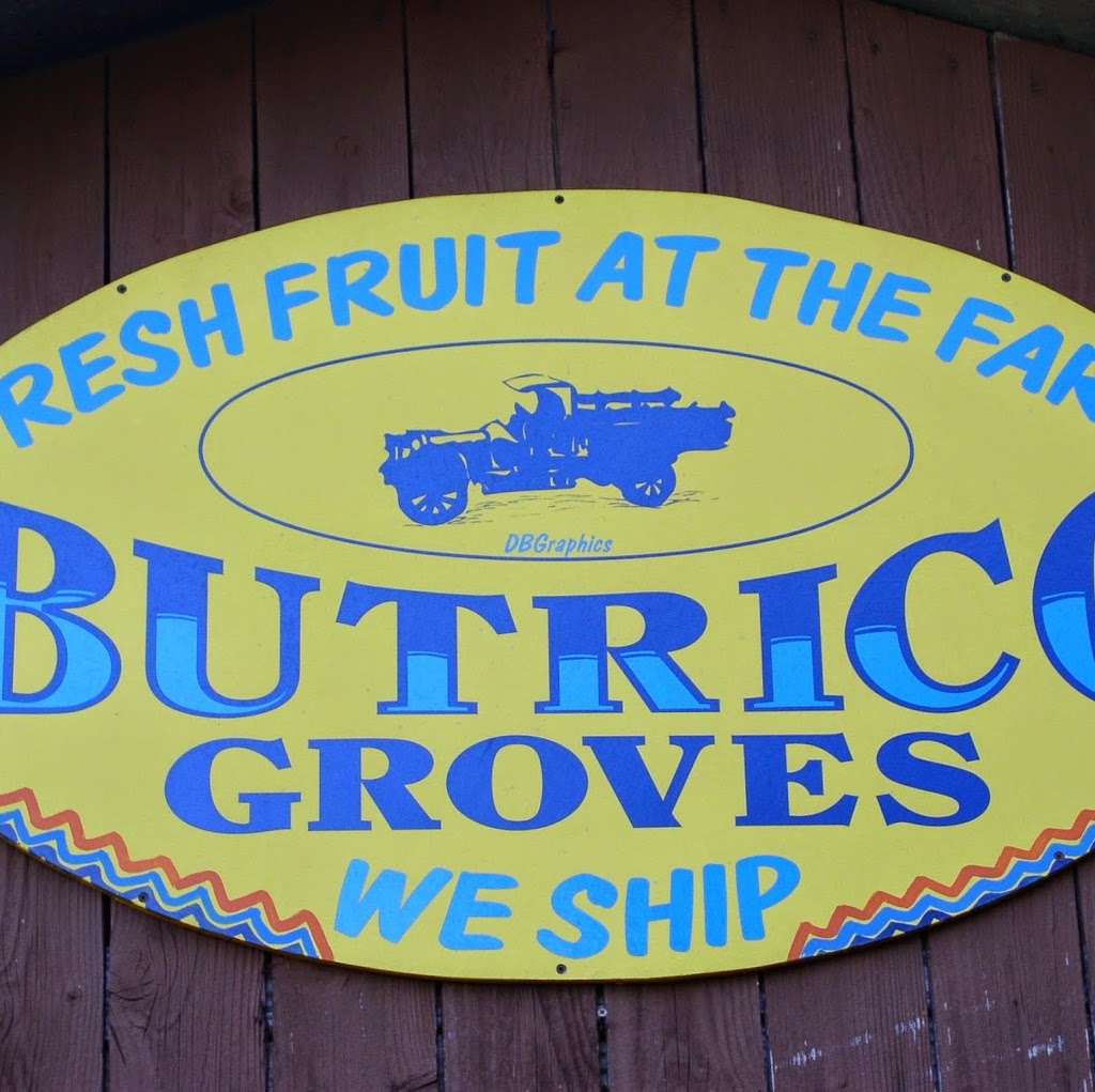 Butrico Groves Orange Grove | 6065 Magnolia St, Mims, FL 32754, USA | Phone: (321) 225-4497