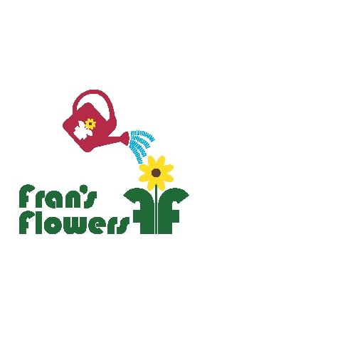 Frans Flowers | Shoppers World, 1 Worcester Rd, Framingham, MA 01701 | Phone: (508) 655-8424