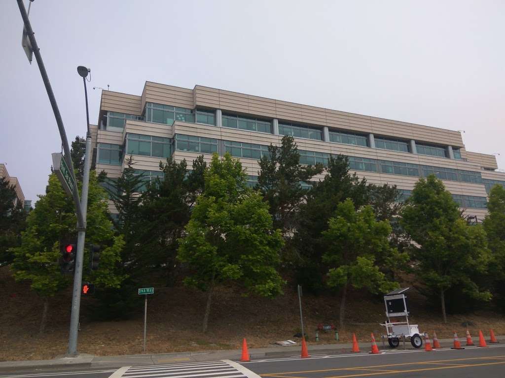 Genentech Bldg 8 | San Francisco Bay Trail, South San Francisco, CA 94080, USA