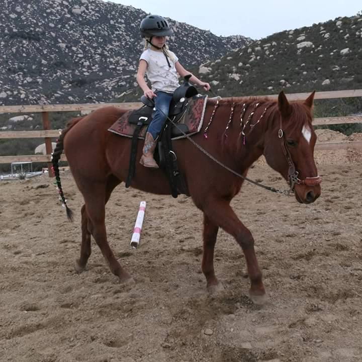 Betty Boop Horse Riding | 16050 Running Deer Trail, Poway, CA 92064, USA | Phone: (760) 916-4931