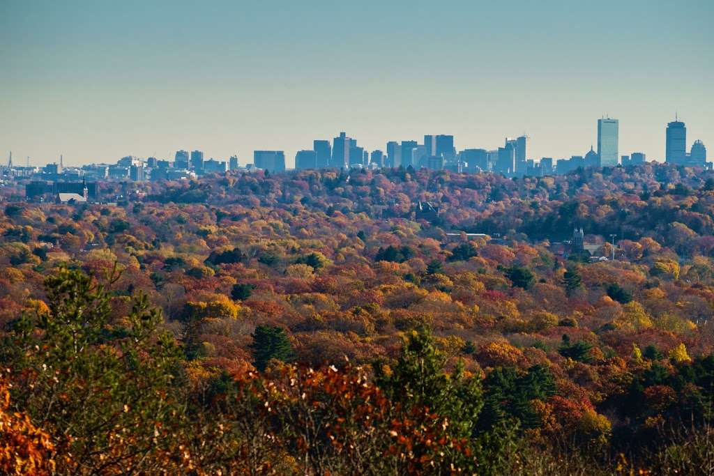 Doublet Hill Conservation Area | Weston, MA 02493, USA