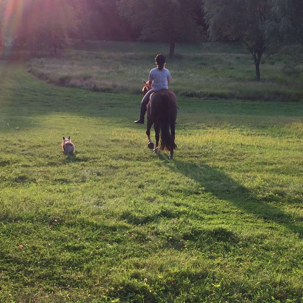 Complete Equestrian Saddlery | 1 River Rd, Carlisle, MA 01741 | Phone: (978) 369-0233