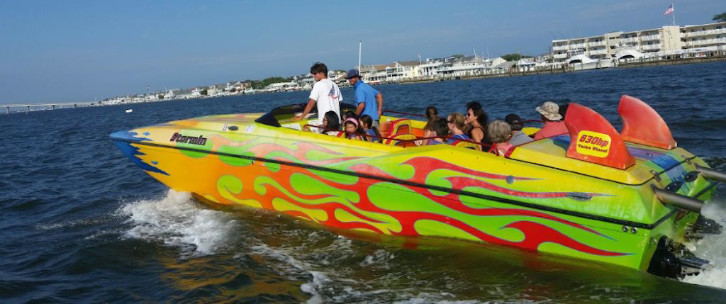 Screamer Speedboat & Dolphin Watch | 244 Bay Ave, Ocean City, NJ 08226 | Phone: (609) 398-5800