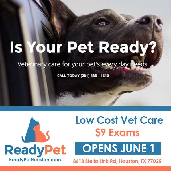 Ready Pet | 8618 Stella Link Rd e, Houston, TX 77025, USA | Phone: (281) 888-4610