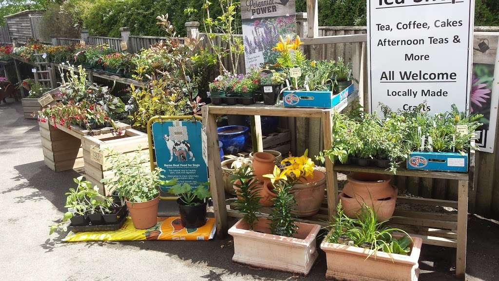 Blooming Plants | London Road, Ryarsh, West Malling ME19 5AS, UK | Phone: 01732 844664