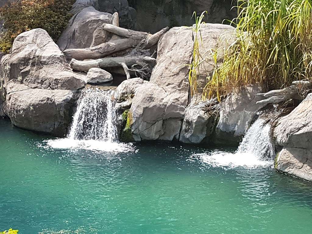 Kilimanjaro Safaris | 2901 W Osceola Pkwy, Orlando, FL 32830, USA | Phone: (407) 939-5277