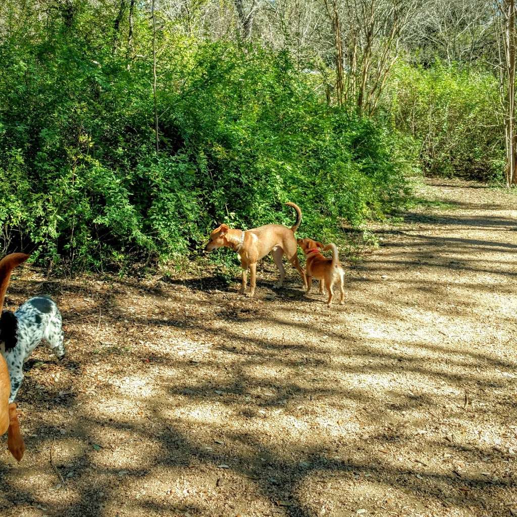 Alamo Heights Bark Park | Alamo Heights Blvd, Alamo Heights, TX 78209, USA