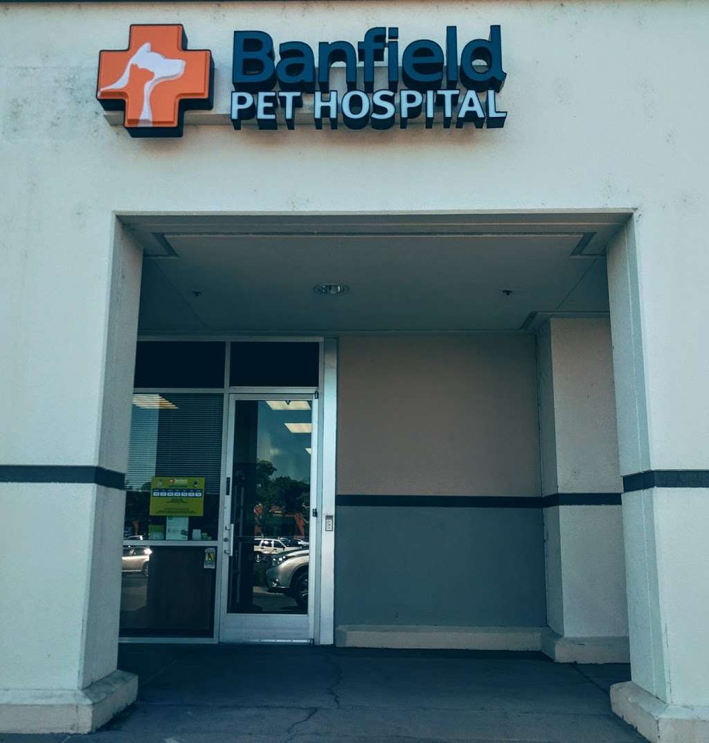 Banfield Pet Hospital | 175 Ranch Dr, Milpitas, CA 95035, USA | Phone: (408) 946-1970