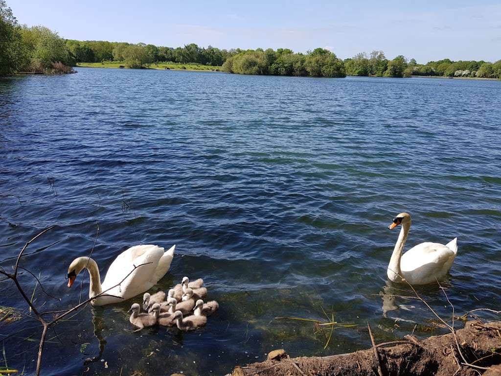 Barden Lake | Tonbridge TN9 1XU, UK