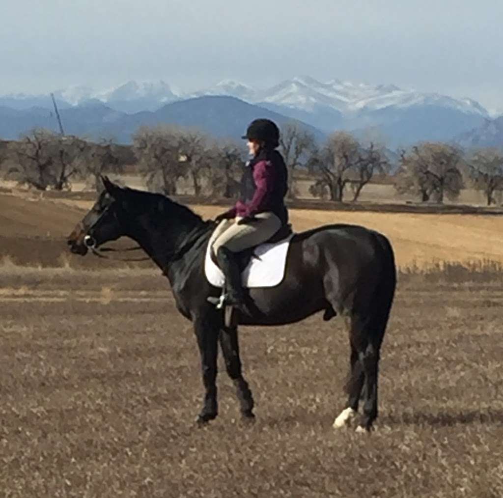 Dr. Nancy Carr DVM Elite Equine Sports Medicine | 14930 Orcharde Parkway #0-107, Westminster, CO 80023 | Phone: (303) 435-0333