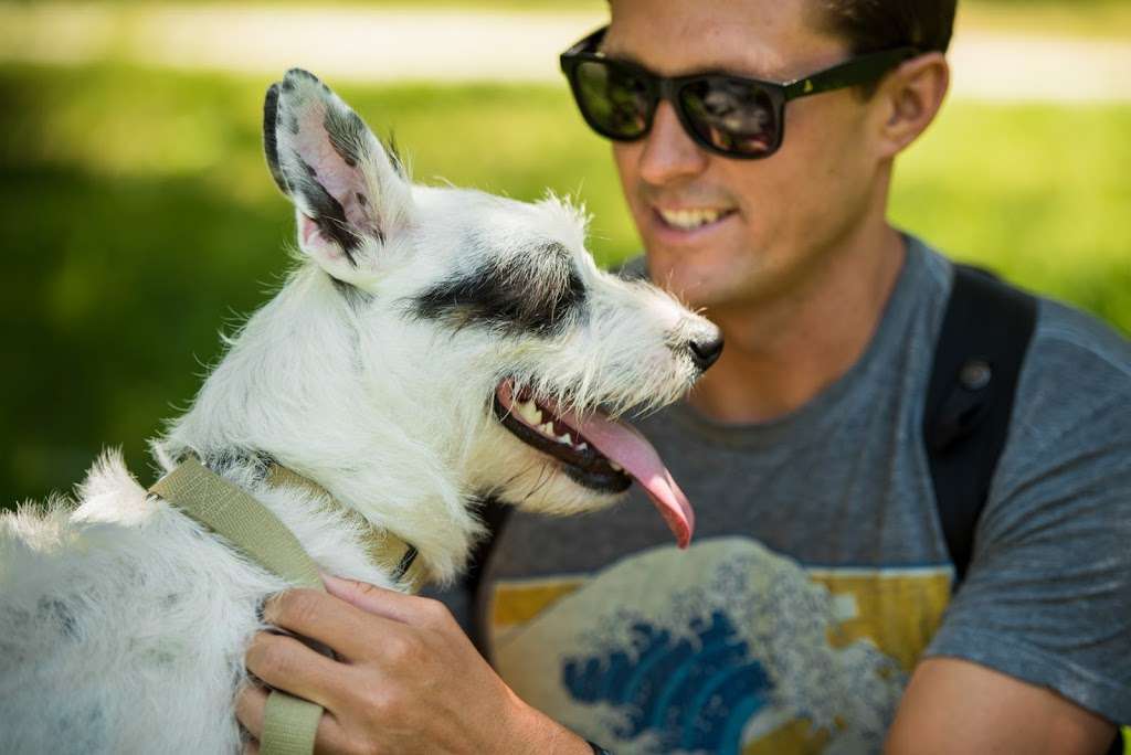 Natural Pawz - Springwoods | 2174 Spring Stuebner Rd #340, Spring, TX 77389, USA | Phone: (832) 458-0611