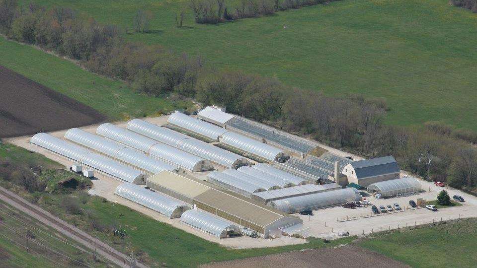 Tehan Greenhouses, Inc. | 1515 E Rawson Ave, Oak Creek, WI 53154, USA | Phone: (414) 762-9151