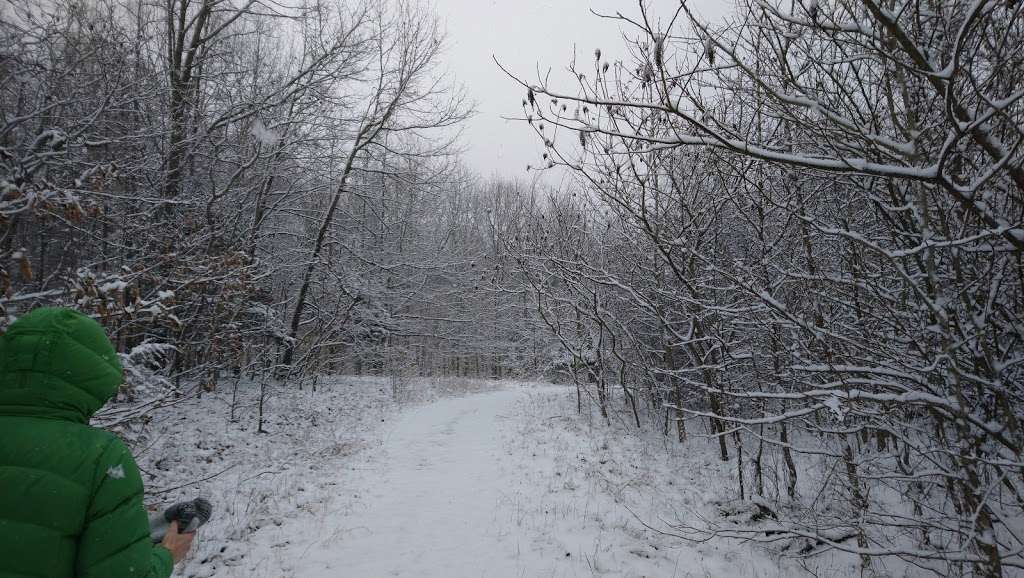 Bluebird Trail trailhead | Unnamed Road, Bloomington, IN 47401, USA