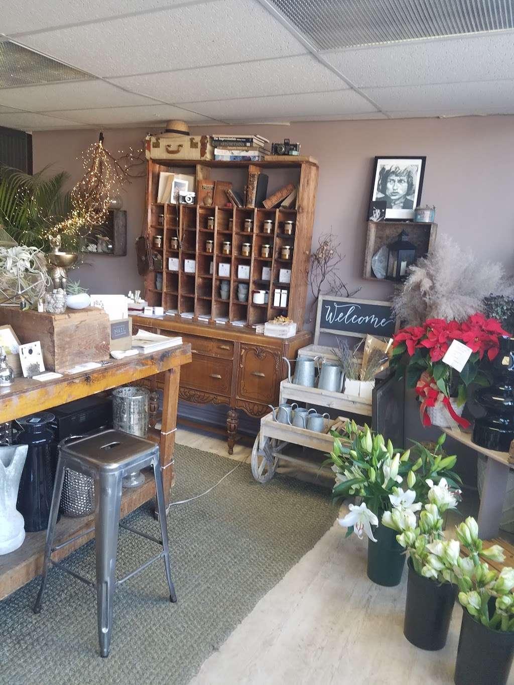 Galleria Florist | 7187 Lee Hwy, Falls Church, VA 22046 | Phone: (703) 536-0770