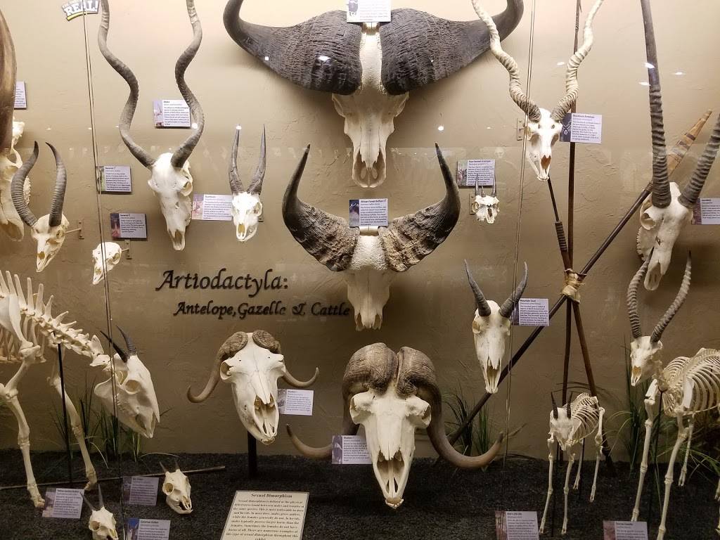 Museum of Osteology | 10301 S Sunnylane Rd, Oklahoma City, OK 73160, USA | Phone: (405) 814-0006