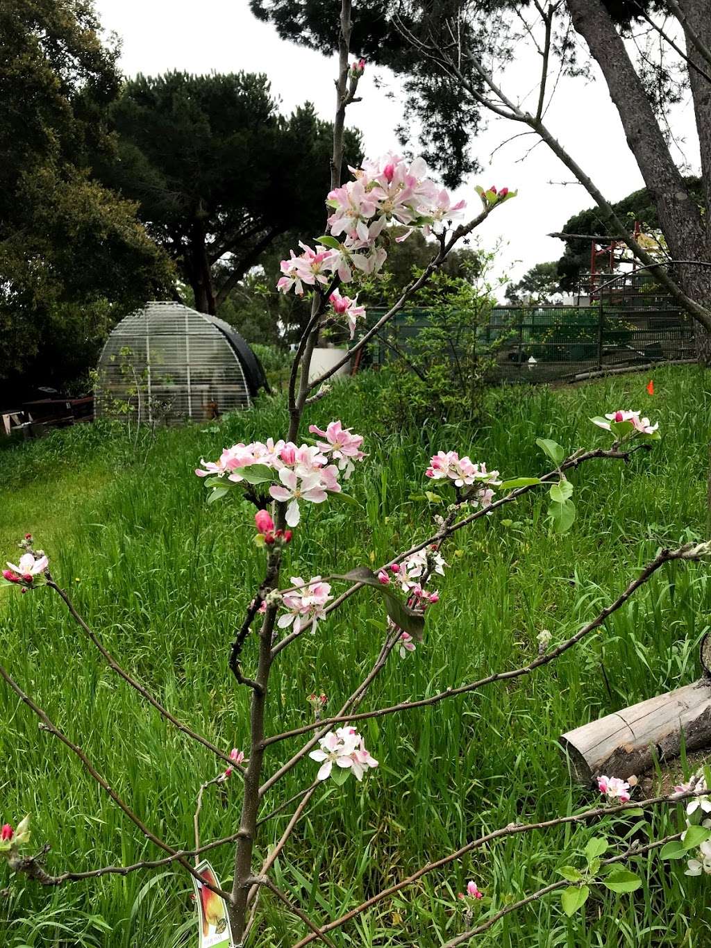 Valmonte Farm and Garden | 3801 Vía La Selva, Palos Verdes Estates, CA 90274, USA