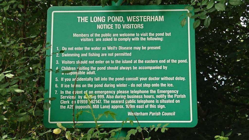 The Long Pond, Westerham | Westerham TN16 1PA, UK