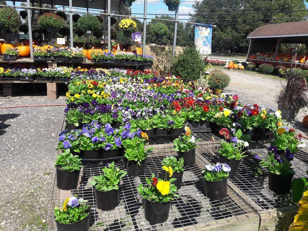 M & M Farm & Garden Market | 400 Hartford Rd, Moorestown, NJ 08057 | Phone: (856) 234-2394