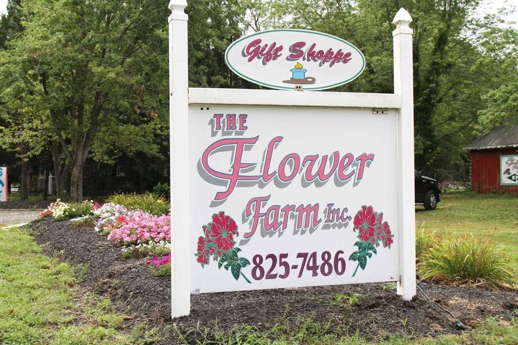 Flower Farm | 329 Carmel Rd, Millville, NJ 08332, USA | Phone: (856) 825-7486