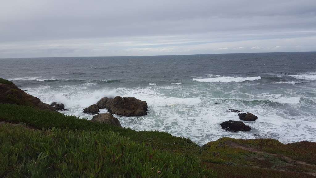 Bodega Bay Trailhead | Bodega Bay, CA 94923, USA