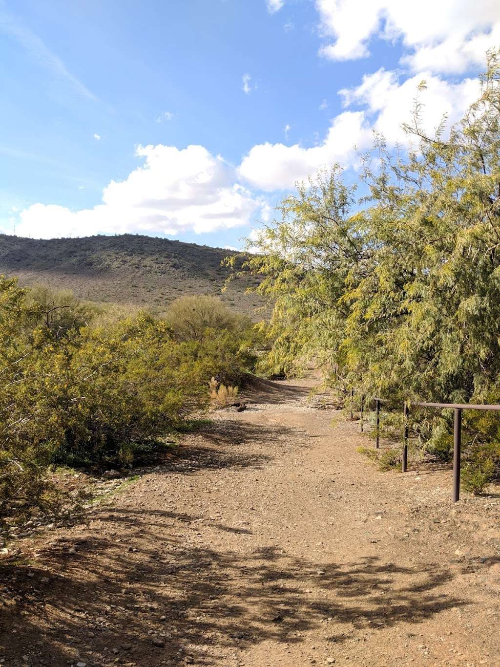 Shaw Butte Trailhead | 12950 N 7th St, Phoenix, AZ 85022, USA