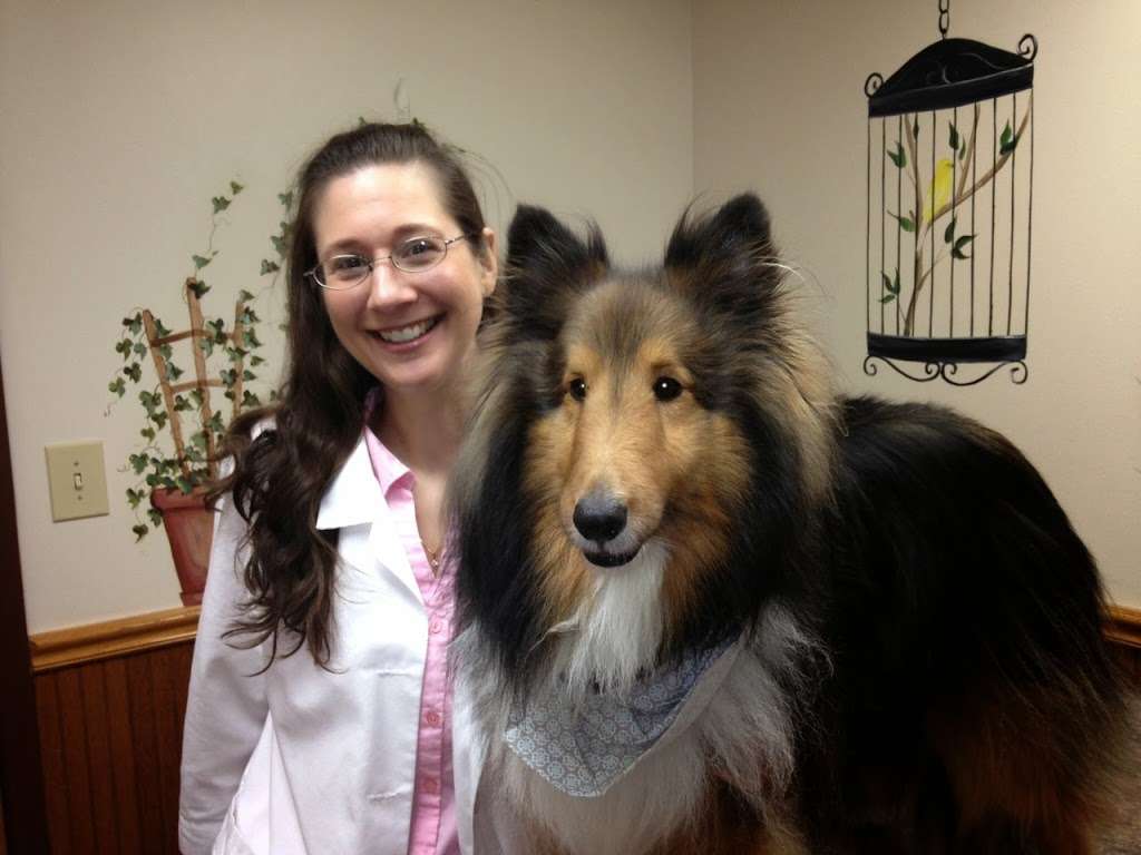 Sand Lake Animal Clinic | 8932 S Apopka Vineland Rd, Orlando, FL 32836, USA | Phone: (407) 876-4461