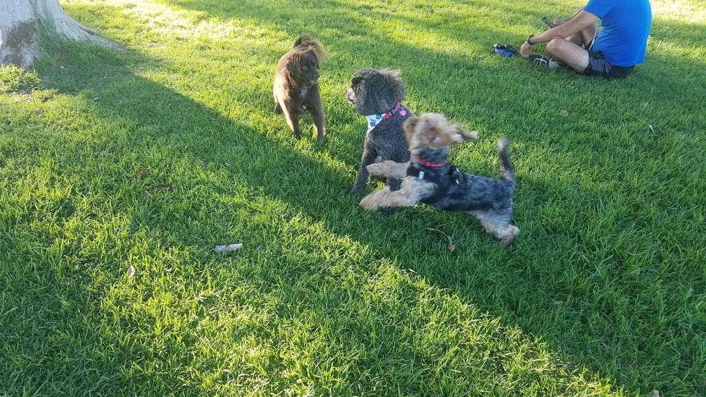 Rio San Gabriel dog park | Rio San Gabriel Park, 9612, Ardine St, Downey, CA 90241