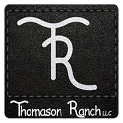 Thomason Ranch | 248 NE 100 Rd, Clinton, MO 64735, USA | Phone: (816) 875-9989