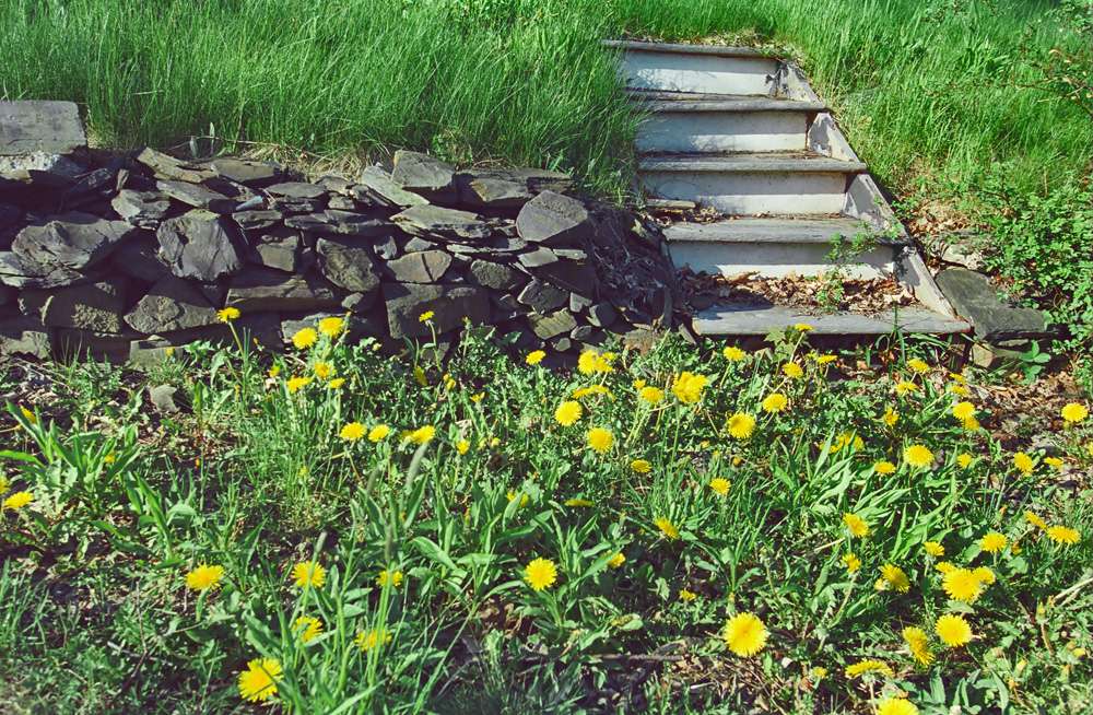 Mosquito Squad of the North Shore | 461 Boston St, Topsfield, MA 01983, USA | Phone: (978) 597-7168