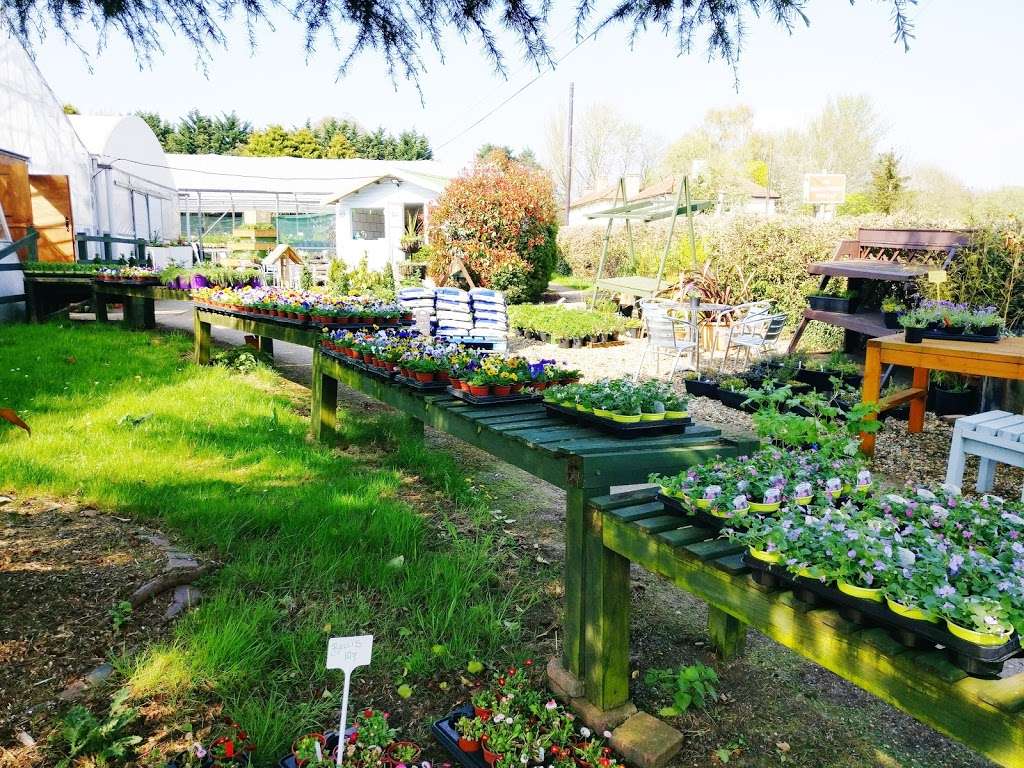 St John of God Horticultural Training Centre | B197, Old Great North Road, Welwyn Garden City AL8 7SR, UK | Phone: 01707 334076