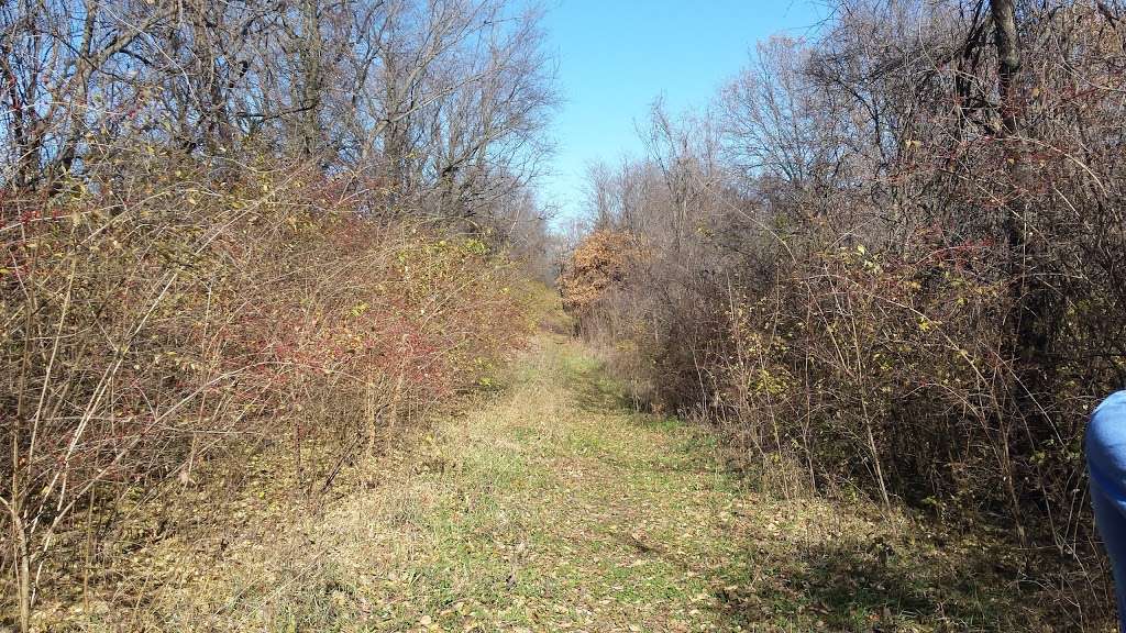River Bluff Trail Trailhead | 17320 E Courtney Atherton Rd, Independence, MO 64058, USA