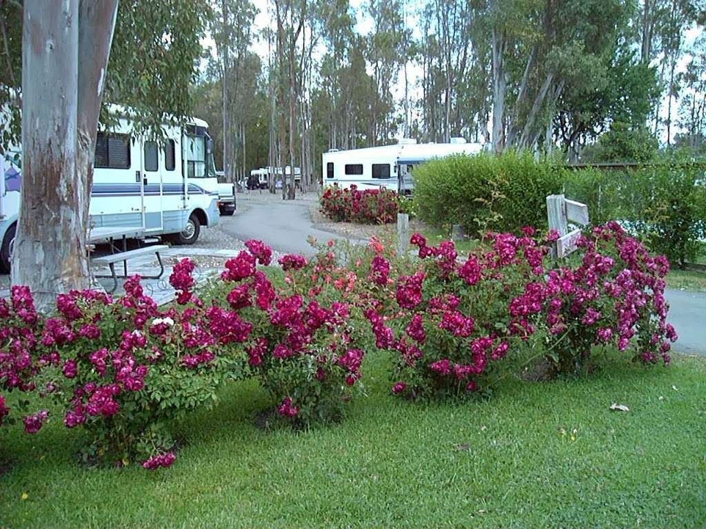 Midway RV Park | 4933 Midway Rd, Vacaville, CA 95688, USA | Phone: (707) 446-7679