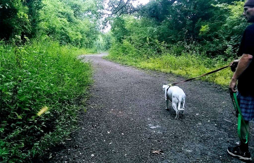 Goat Island Preserve | 2800 Post Oak Rd, Hutchins, TX 75141, USA