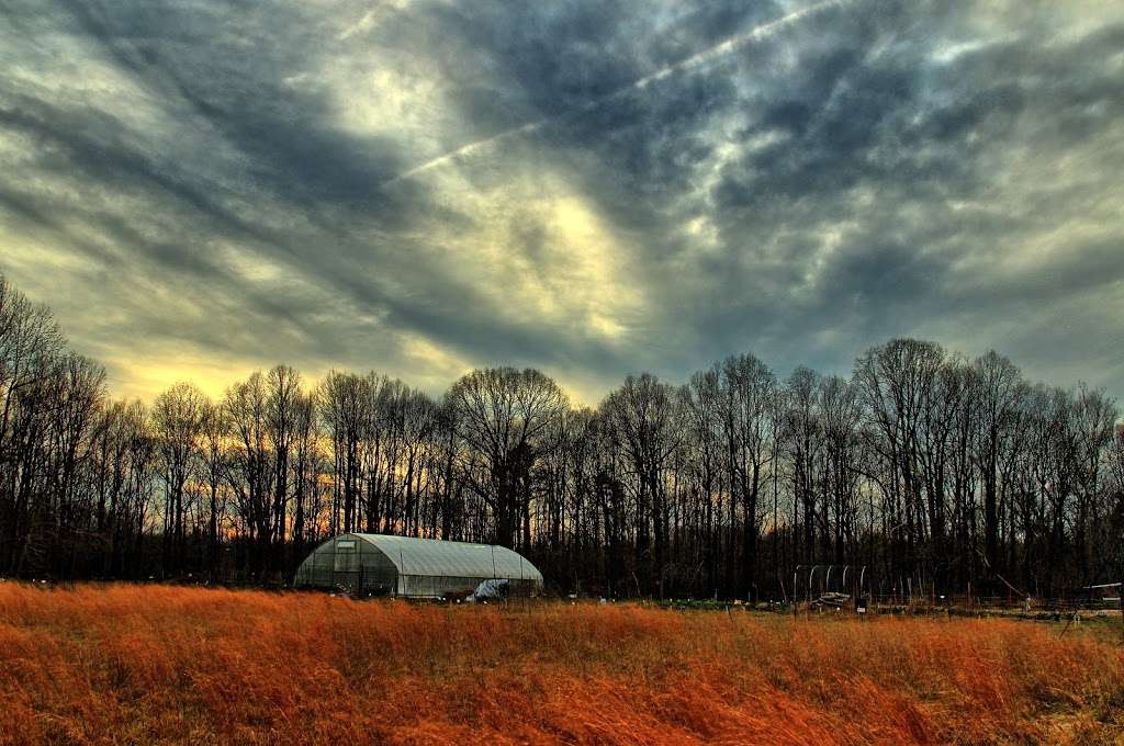 Horse Swamp | Prince Frederick, MD 20678, USA