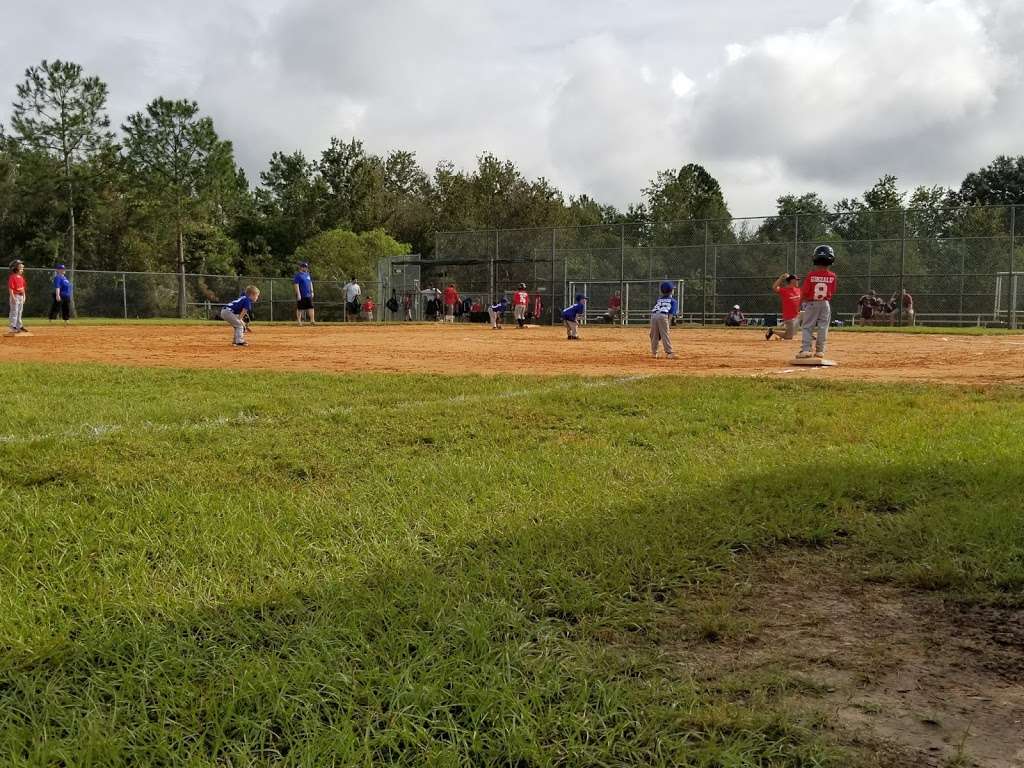 Beisbol Daniel George Bailey Park | 11974 Roberson Rd, Winter Garden, FL 34787 | Phone: (407) 656-3299