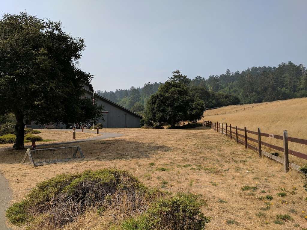 Point Reyes Visitor Center | 1 Bear Valley Visitor Center Access Road, Point Reyes Station, CA 94956 | Phone: (415) 464-5100 ext. 2